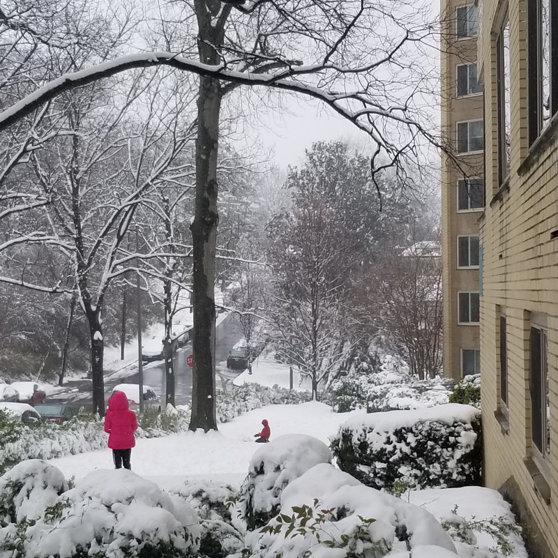 Kids playing in white snow