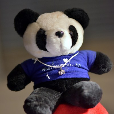 The Washington Photo Safari Panda