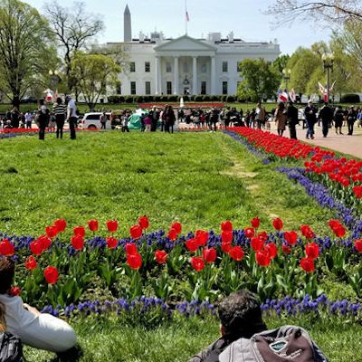 Photographers capturing the White House
