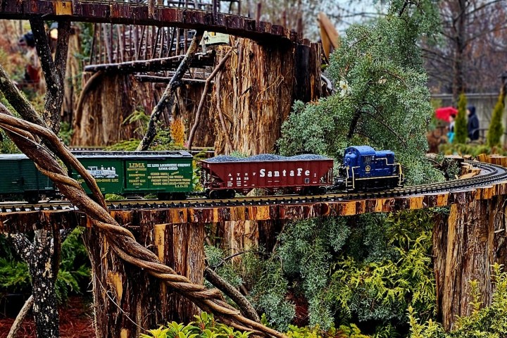 U.S. Botanic Garden Train