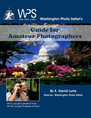 a close up of a flower