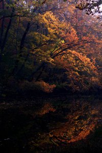 Fall along the C&O Canal - Anglers