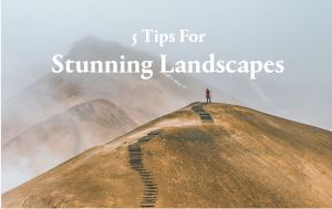 KEH Landscape Article image