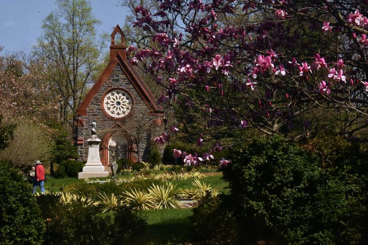 Oak Hill Cemetery Georgetown
