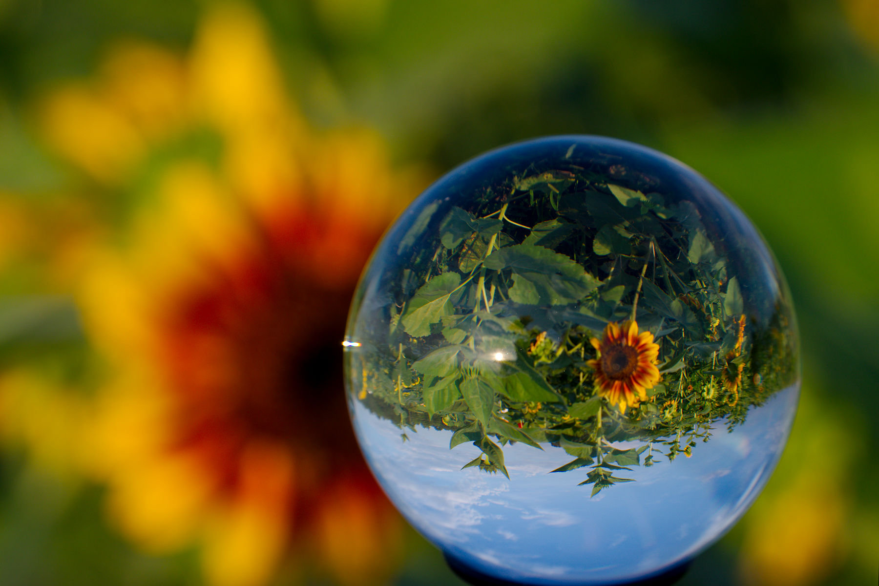 Crystal Ball at Burnside Farms