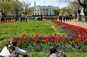 Lafayette Park Photographers, Washington, DC