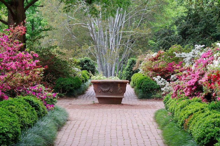 Morrison Garden, National Arboretum, Washington, D.C.