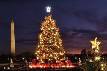 2021 National Christmas Tree