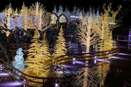 Christmas Trees and Decorations at Enchant, Washington, DC