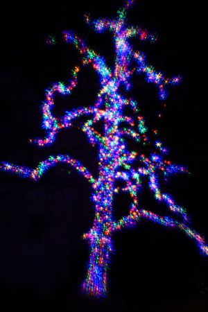 Illuminated tree with flower bokeh, narrow f-stop