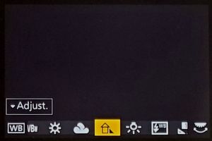 White Balance Settings