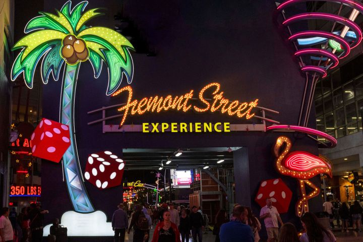 Neon signs of palm tree and flamingo at Fremont Street Experience entrance.