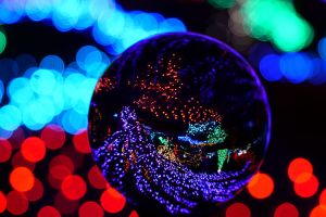 Winterwalk of Lights, Meadowlark Botanic Gardens, Vienna, VA