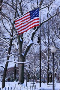 American Flag surrounded by snow-covered trees, near the Vietnam Servicemen Statue, Washington, DC