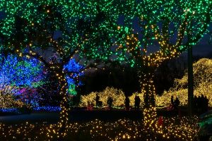 Festival of Lights at Mormon Temple, Kensington, MD