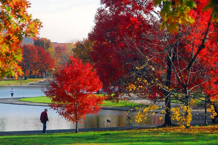 Constitution Gardens in the Fall