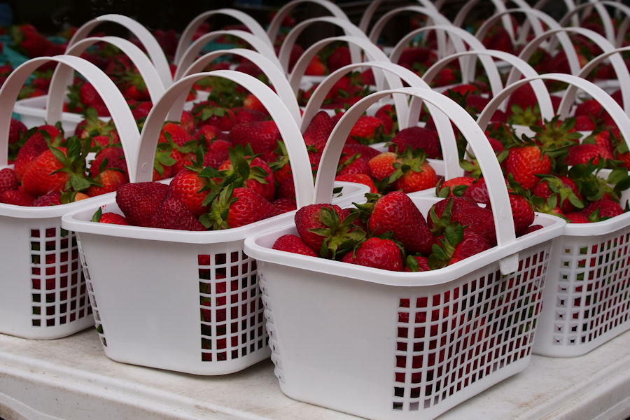 Strawberries at the Alexandria Farmers' Market