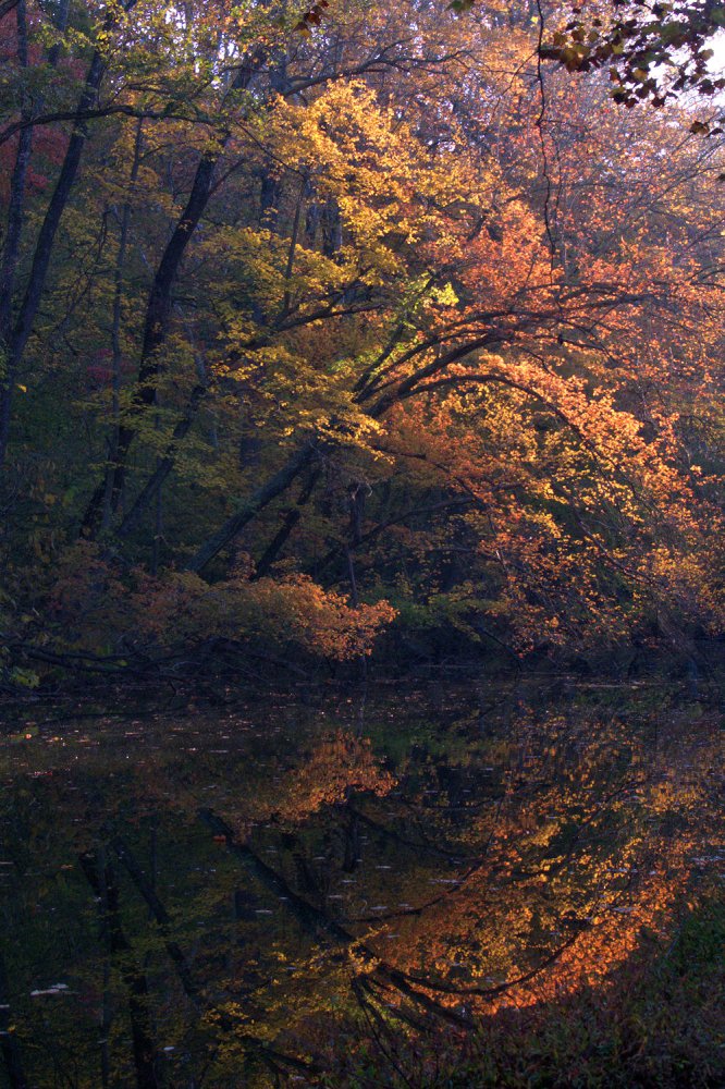 C&O Canal, Anglers, MD