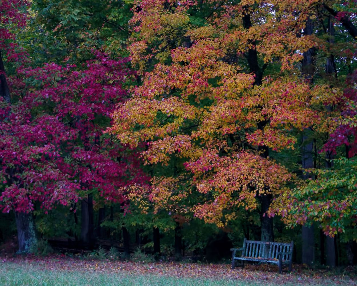 Gunston Hall, Lorton, VA