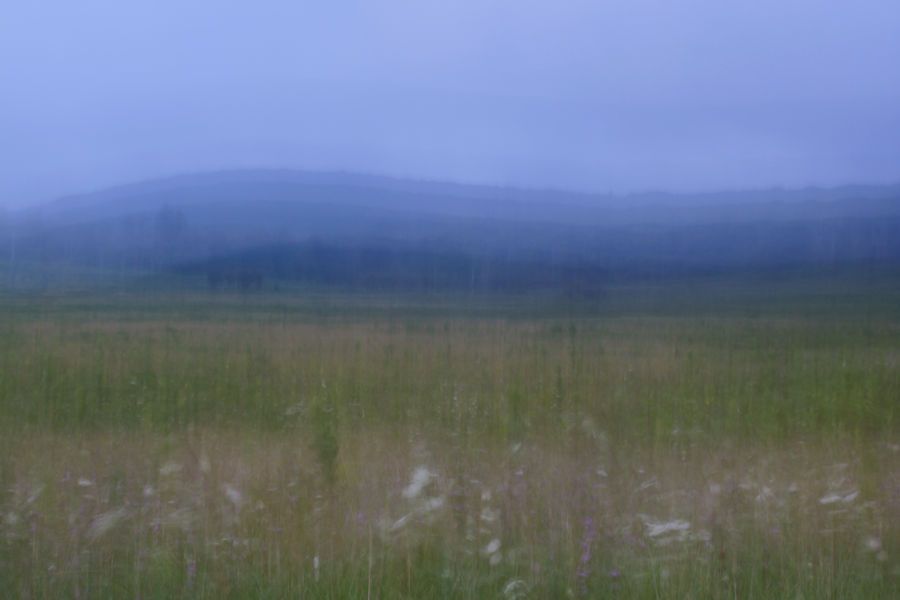 ICM Big Meadows, SNP
