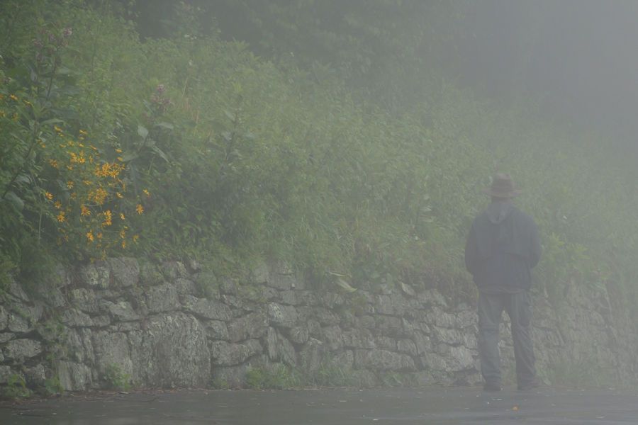 Foggy morning at Jewell Hollow, SNP